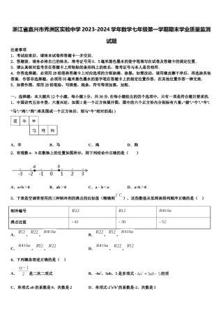 浙江省嘉兴市秀洲区实验中学2023-2024学年数学七年级第一学期期末学业质量监测试题含解析.doc