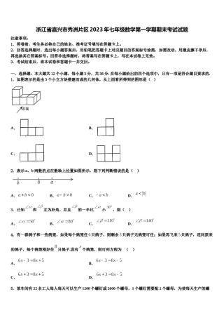 浙江省嘉兴市秀洲片区2023年七年级数学第一学期期末考试试题含解析.doc
