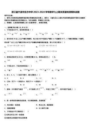 浙江省宁波市东方中学2023-2024学年数学七上期末质量检测模拟试题含解析.doc