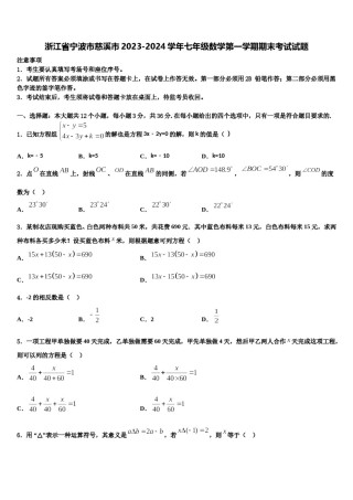 浙江省宁波市慈溪市2023-2024学年七年级数学第一学期期末考试试题含解析.doc