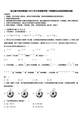 浙江省宁波市镇海区2023年七年级数学第一学期期末达标检测模拟试题含解析.doc