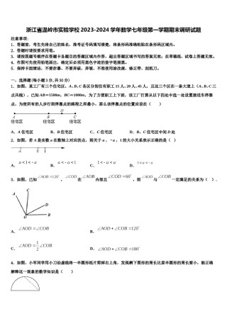 浙江省温岭市实验学校2023-2024学年数学七年级第一学期期末调研试题含解析.doc