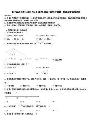 浙江省温州市乐清市2023-2024学年七年级数学第一学期期末监测试题含解析.doc