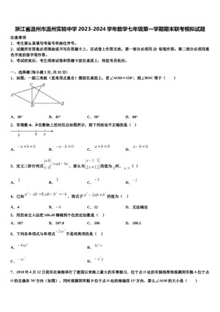 浙江省温州市温州实验中学2023-2024学年数学七年级第一学期期末联考模拟试题含解析.doc
