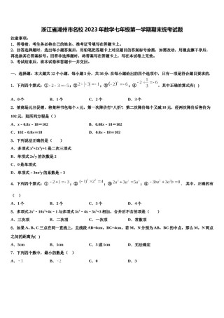 浙江省湖州市名校2023年数学七年级第一学期期末统考试题含解析.doc
