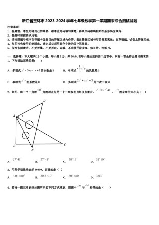 浙江省玉环市2023-2024学年七年级数学第一学期期末综合测试试题含解析.doc