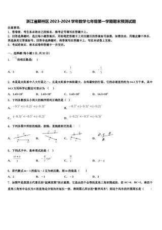 浙江省鄞州区2023-2024学年数学七年级第一学期期末预测试题含解析.doc