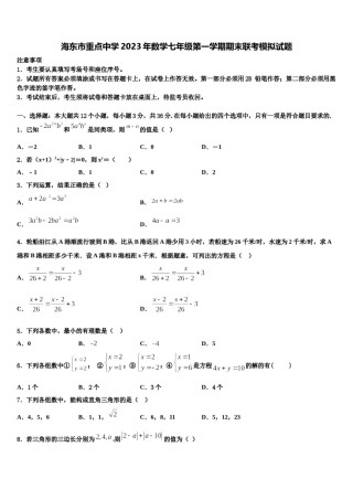 海东市重点中学2023年数学七年级第一学期期末联考模拟试题含解析.doc