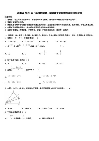 海南省2023年七年级数学第一学期期末质量跟踪监视模拟试题含解析.doc