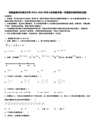 海南省儋州市第五中学2023-2024学年七年级数学第一学期期末调研模拟试题含解析.doc