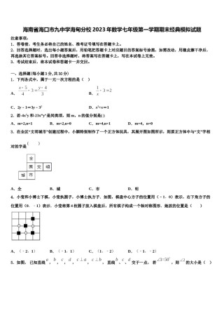 海南省海口市九中学海甸分校2023年数学七年级第一学期期末经典模拟试题含解析.doc