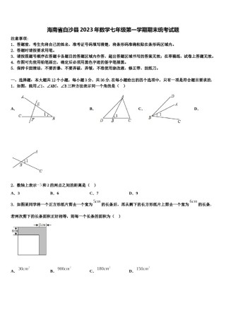 海南省白沙县2023年数学七年级第一学期期末统考试题含解析.doc