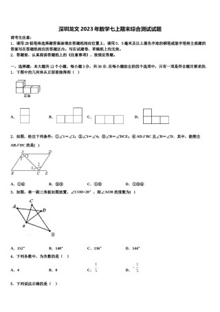 深圳龙文2023年数学七上期末综合测试试题含解析.doc