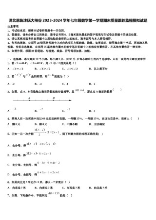 湖北恩施沐抚大峡谷2023-2024学年七年级数学第一学期期末质量跟踪监视模拟试题含解析.doc
