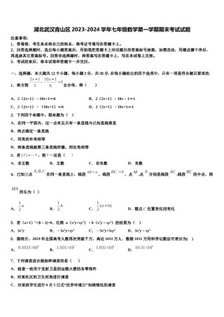 湖北武汉青山区2023-2024学年七年级数学第一学期期末考试试题含解析.doc