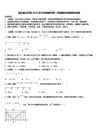 湖北省云梦县2023年七年级数学第一学期期末经典模拟试题含解析.doc