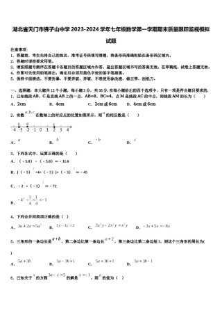 湖北省天门市佛子山中学2023-2024学年七年级数学第一学期期末质量跟踪监视模拟试题含解析.doc
