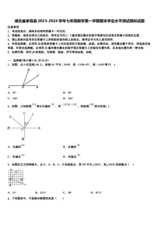 湖北省孝昌县2023-2024学年七年级数学第一学期期末学业水平测试模拟试题含解析.doc
