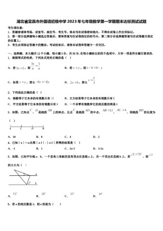 湖北省宜昌市外国语初级中学2023年七年级数学第一学期期末达标测试试题含解析.doc