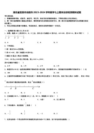 湖北省宜昌市当阳市2023-2024学年数学七上期末达标检测模拟试题含解析.doc