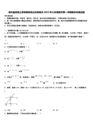 湖北省恩施土家族苗族自治州恩施市2023年七年级数学第一学期期末经典试题含解析.doc