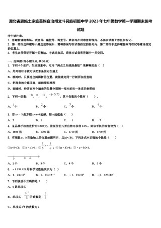 湖北省恩施土家族苗族自治州文斗民族初级中学2023年七年级数学第一学期期末统考试题含解析.doc