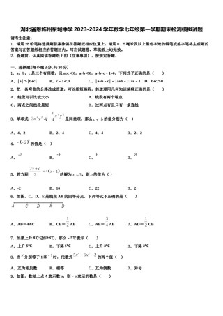 湖北省恩施州东城中学2023-2024学年数学七年级第一学期期末检测模拟试题含解析.doc