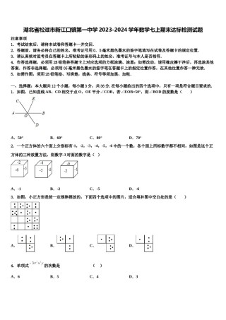 湖北省松滋市新江口镇第一中学2023-2024学年数学七上期末达标检测试题含解析.doc