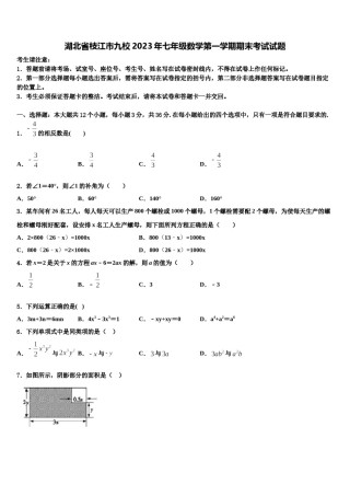 湖北省枝江市九校2023年七年级数学第一学期期末考试试题含解析.doc