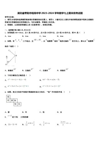 湖北省枣阳市钱岗中学2023-2024学年数学七上期末统考试题含解析.doc