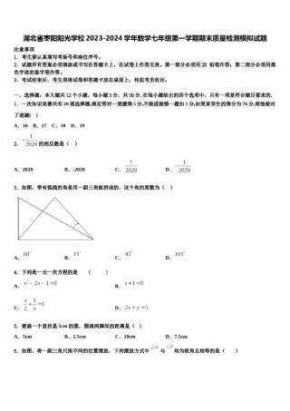 湖北省枣阳阳光学校2023-2024学年数学七年级第一学期期末质量检测模拟试题含解析.doc