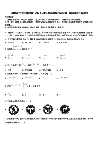 湖北省武汉东湖高新区2023-2024学年数学七年级第一学期期末经典试题含解析.doc