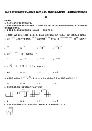 湖北省武汉东湖高新区六校联考2023-2024学年数学七年级第一学期期末达标测试试题含解析.doc
