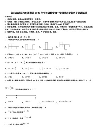 湖北省武汉市东西湖区2023年七年级数学第一学期期末学业水平测试试题含解析.doc