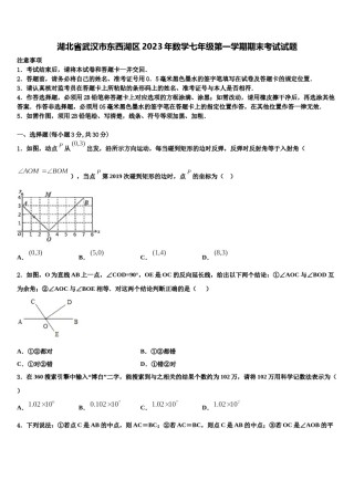 湖北省武汉市东西湖区2023年数学七年级第一学期期末考试试题含解析.doc