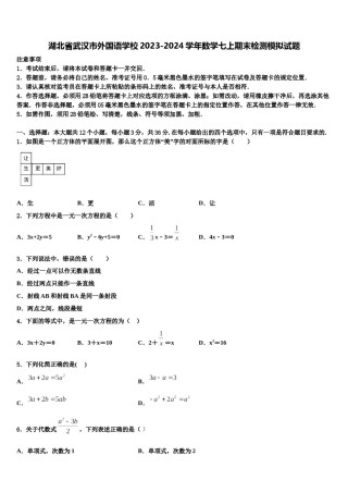 湖北省武汉市外国语学校2023-2024学年数学七上期末检测模拟试题含解析.doc