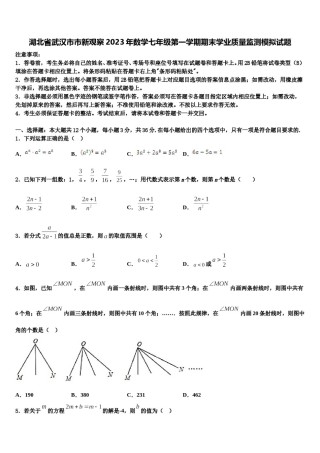 湖北省武汉市市新观察2023年数学七年级第一学期期末学业质量监测模拟试题含解析.doc