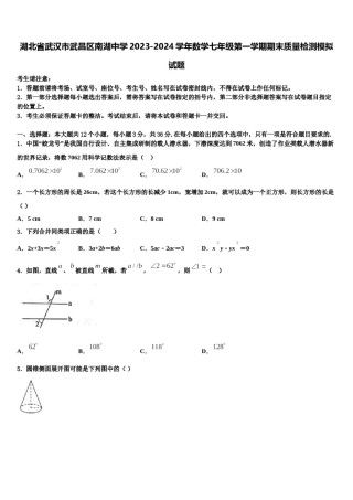 湖北省武汉市武昌区南湖中学2023-2024学年数学七年级第一学期期末质量检测模拟试题含解析.doc