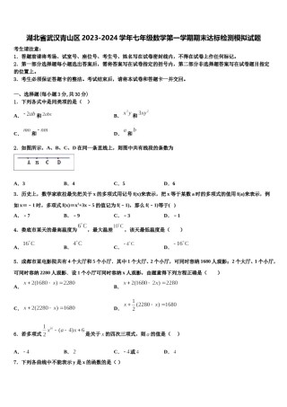 湖北省武汉青山区2023-2024学年七年级数学第一学期期末达标检测模拟试题含解析.doc