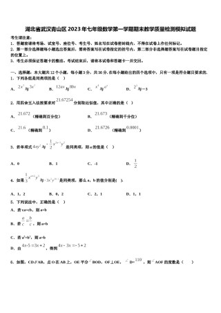 湖北省武汉青山区2023年七年级数学第一学期期末教学质量检测模拟试题含解析.doc
