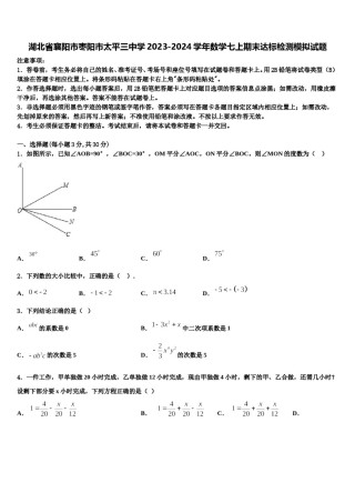 湖北省襄阳市枣阳市太平三中学2023-2024学年数学七上期末达标检测模拟试题含解析.doc