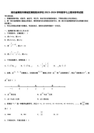 湖北省襄阳市襄城区襄阳阳光学校2023-2024学年数学七上期末联考试题含解析.doc
