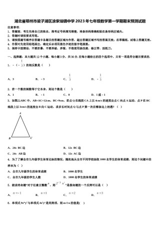 湖北省鄂州市梁子湖区涂家垴镇中学2023年七年级数学第一学期期末预测试题含解析.doc