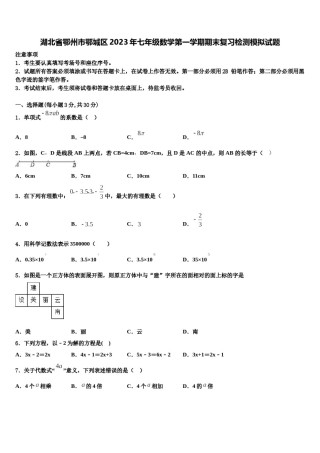 湖北省鄂州市鄂城区2023年七年级数学第一学期期末复习检测模拟试题含解析.doc