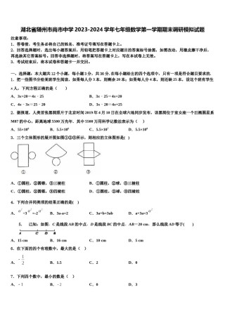 湖北省随州市尚市中学2023-2024学年七年级数学第一学期期末调研模拟试题含解析.doc