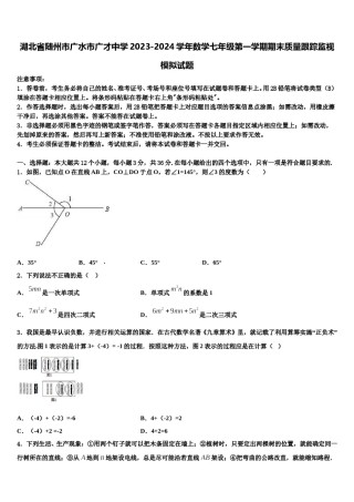 湖北省随州市广水市广才中学2023-2024学年数学七年级第一学期期末质量跟踪监视模拟试题含解析.doc