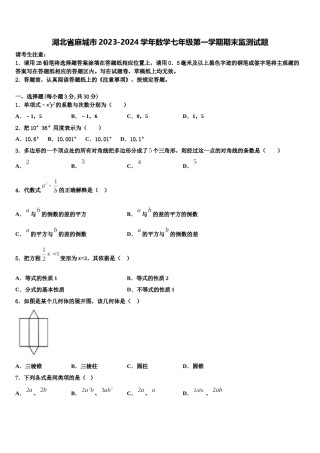 湖北省麻城市2023-2024学年数学七年级第一学期期末监测试题含解析.doc