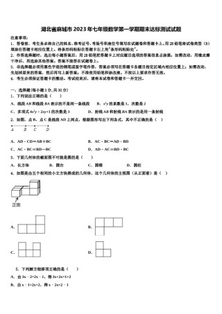 湖北省麻城市2023年七年级数学第一学期期末达标测试试题含解析.doc