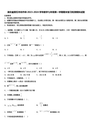 湖北省黄石市协作体2023-2024学年数学七年级第一学期期末复习检测模拟试题含解析.doc