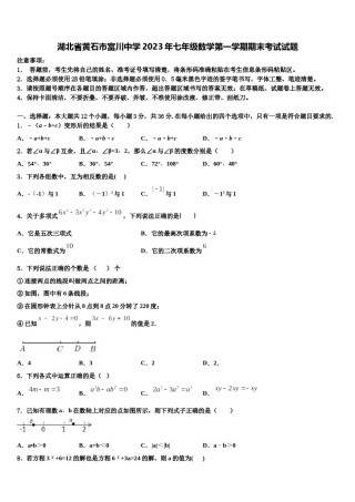 湖北省黄石市富川中学2023年七年级数学第一学期期末考试试题含解析.doc